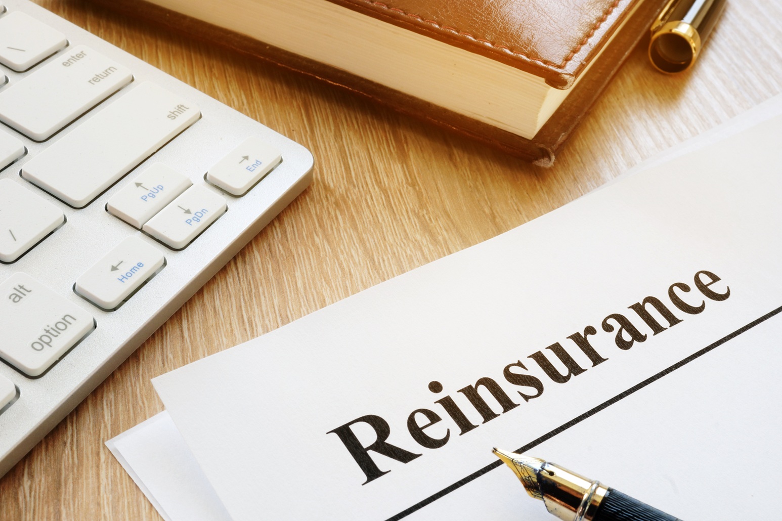 Special Risk and Liability Insurance
